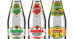 Альтаир, туристическая фирма