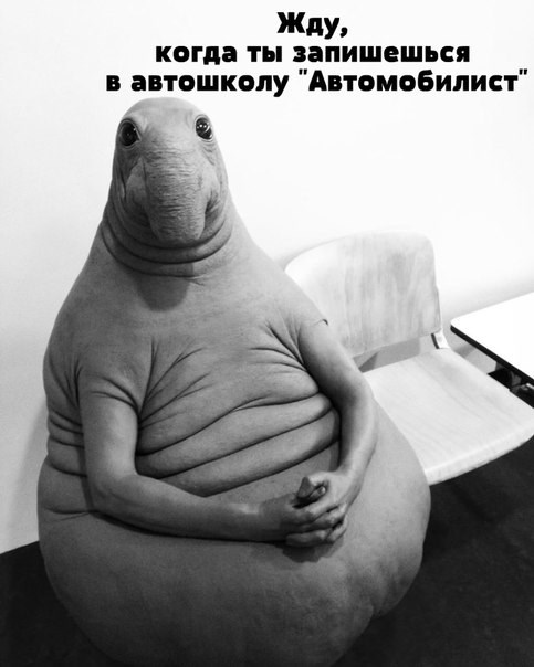 Новость Автомобилист Пенза