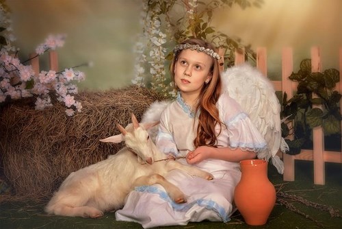 Бэби Плюс