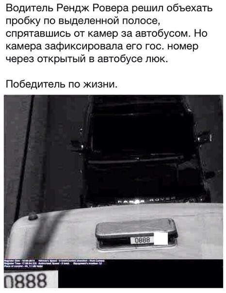 Дельфин Пенза