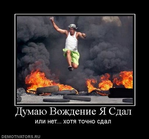 Фото Дельфин