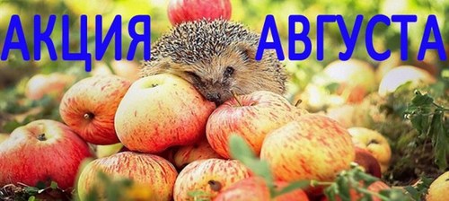 Фото Эстетика стиля