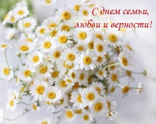 Избушка этно-студия
