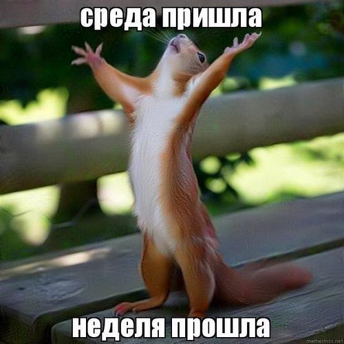 Фото Место Пенза