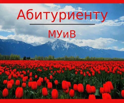 Фото Московский университет им.