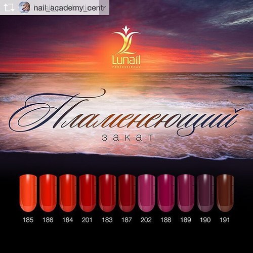 Для Nail Академия
