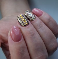 Фото Nail Profi