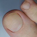 Фото Nail Profi