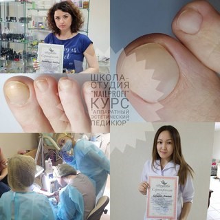 Картинка Nail Profi, школа-студия