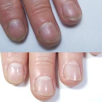 Для Nail Profi