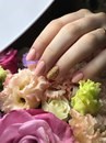 Фото Non-Stop Nails, школа маникюра