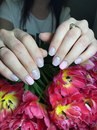 Изображение Non-Stop Nails