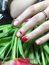 Изображение Non-Stop Nails