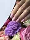 Non-Stop Nails школа