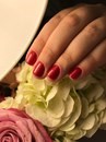 Изображение Non-Stop Nails школа