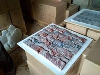 Новость Otliks, компания по производству и реализации искусственного камня и 3D панелей