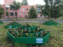 Фото Покрофф Пенза