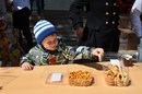 Приволжский институт повышения квалификации и профессиональной переподготовки, филиал в г. Пензе