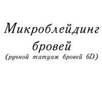 Логотип компании Студия микроблейдинга и татуажа бровей