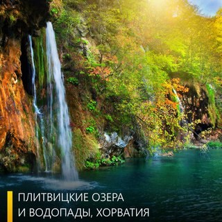 Для Visa Travel сеть